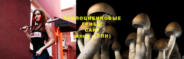 МДМА Беломорск
