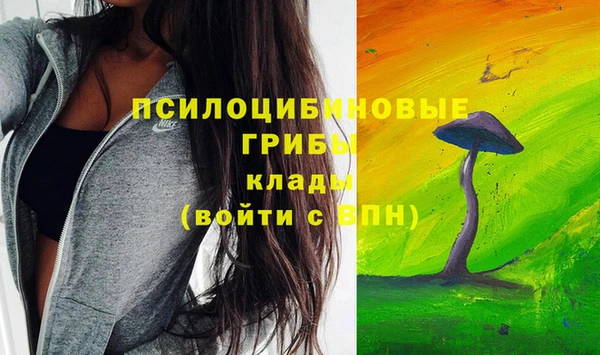 амф Белоозёрский