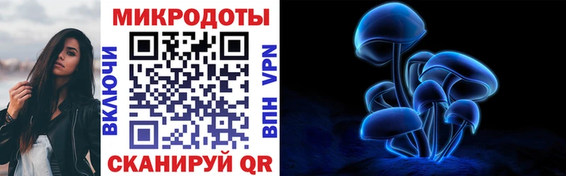 Галлюциногенные грибы Cubensis  Бородино 