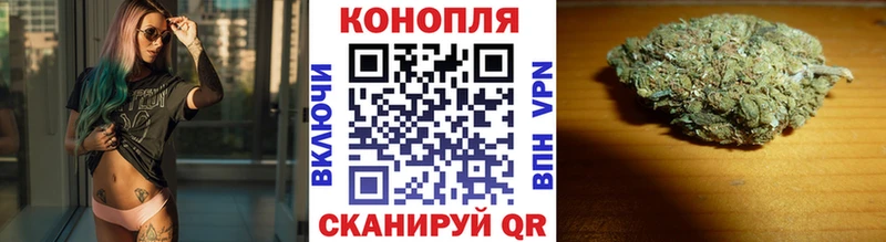 Бошки Шишки VHQ  Бородино 